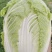 黄心大白菜