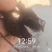 金山绣线菊穴盘小苗