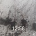 金山绣线菊穴盘小苗