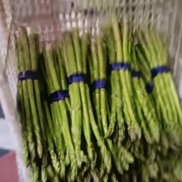 福建漳州云霄芦笋