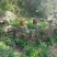 自家喂养的高山土蜂蜜（百花蜜）