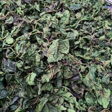 柴火高温炒制的桑树叶。