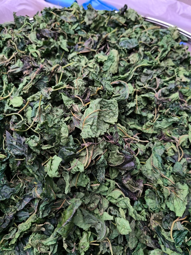 柴火高温炒制的桑树叶。