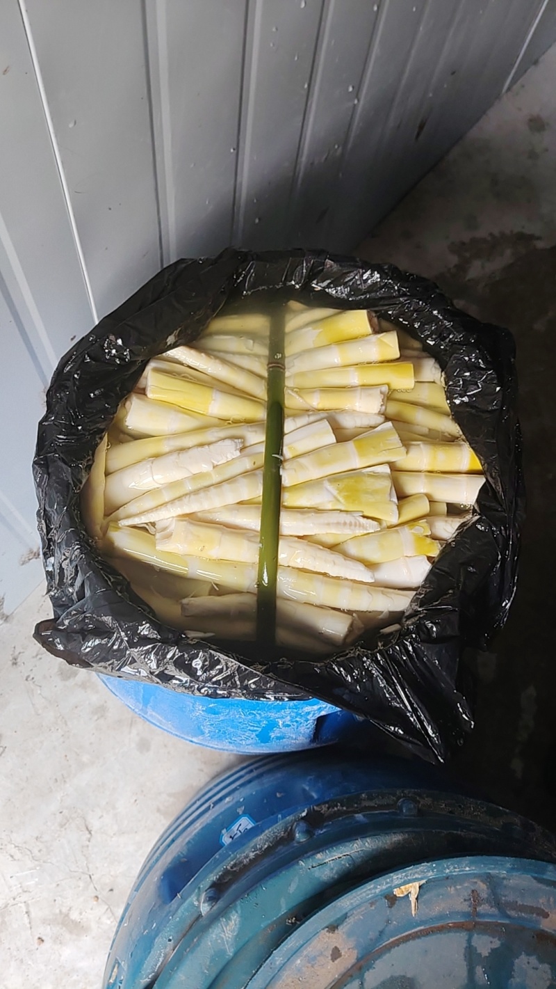 水竹笋桶货