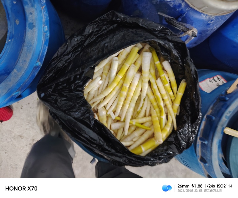 水竹笋桶货
