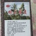沽源藜麦，蛋白质高，富硒地种植。1斤藜麦≈4斤牛奶蛋白质