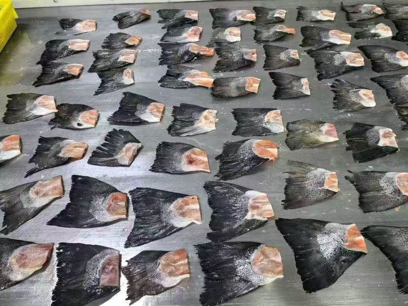 三文鱼尾3吨左右