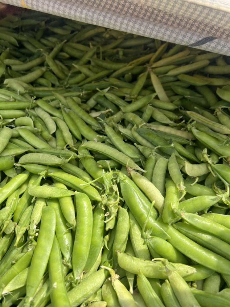 豌豆荚🫛