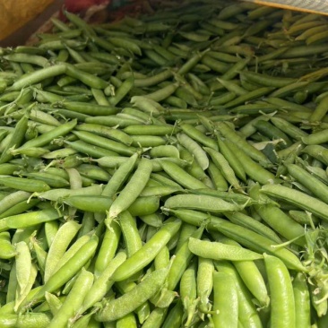 豌豆荚🫛