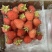 新鲜树莓