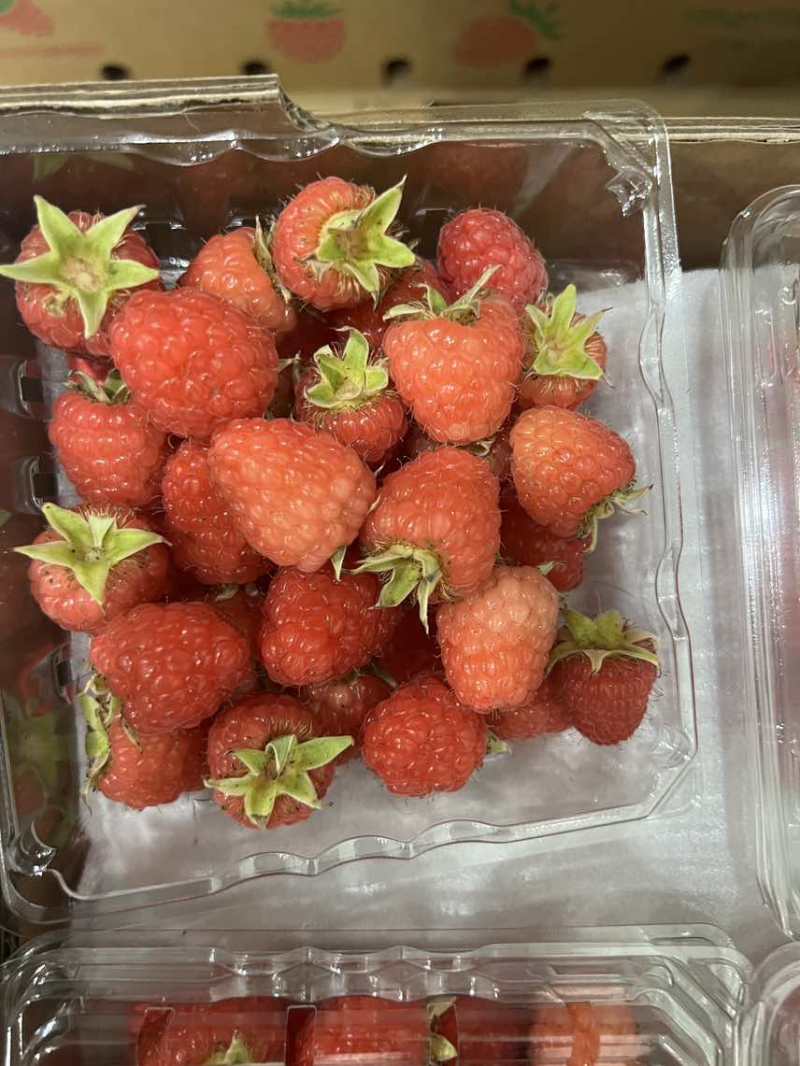 新鲜树莓