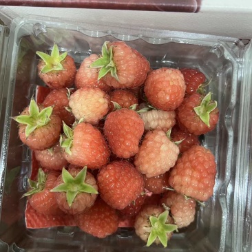 新鲜树莓
