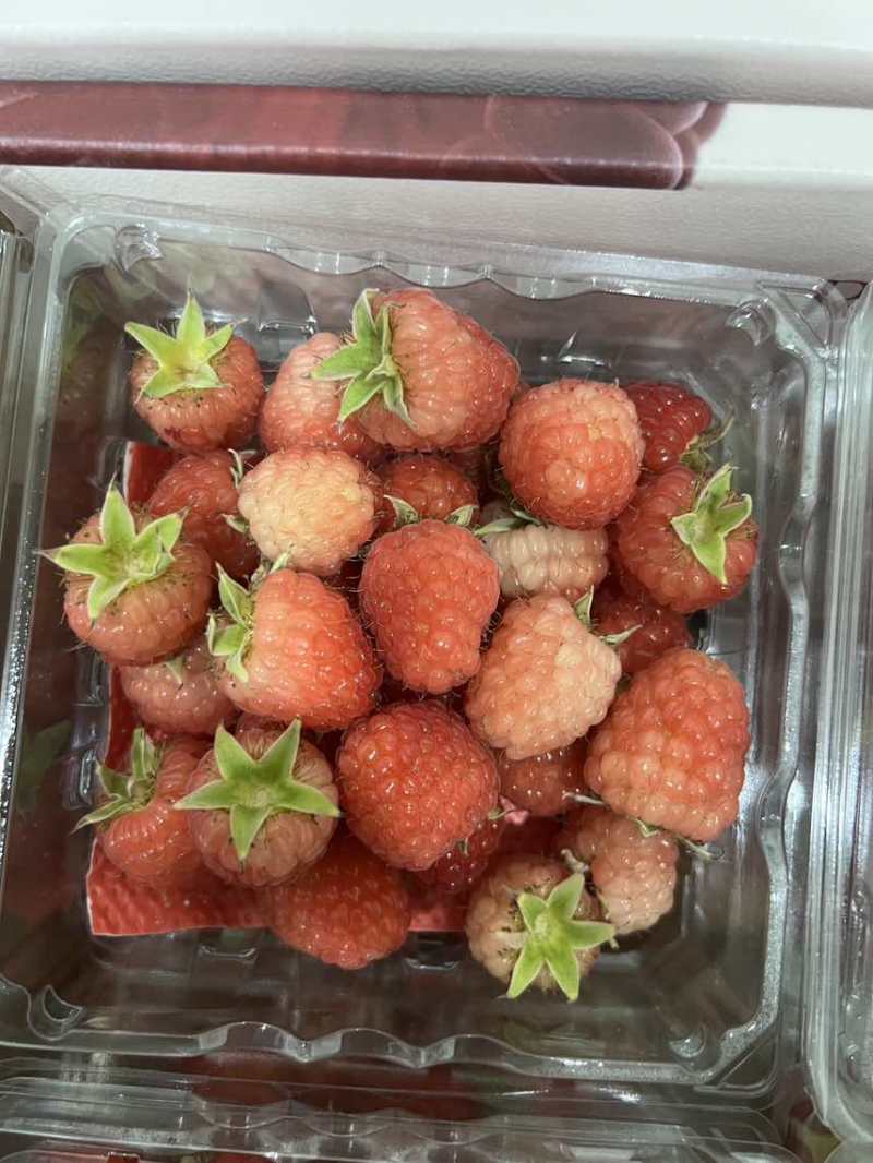 新鲜树莓