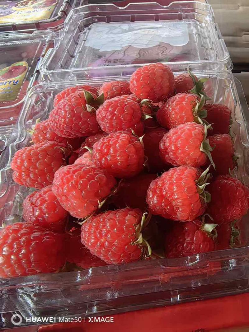 新鲜树莓