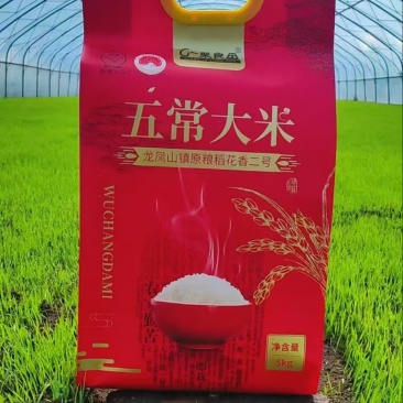 五常稻花香二号大米