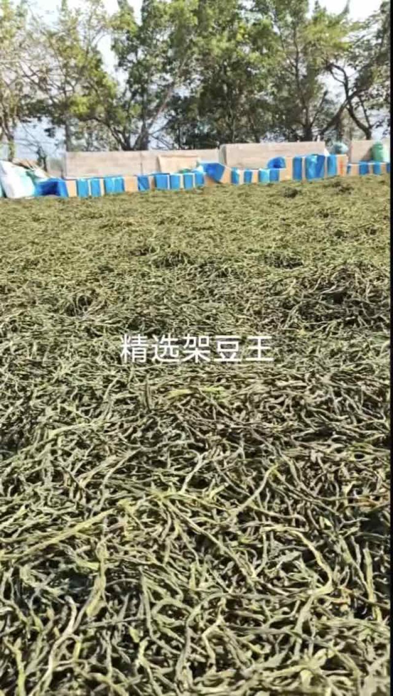 架豆王豆角干