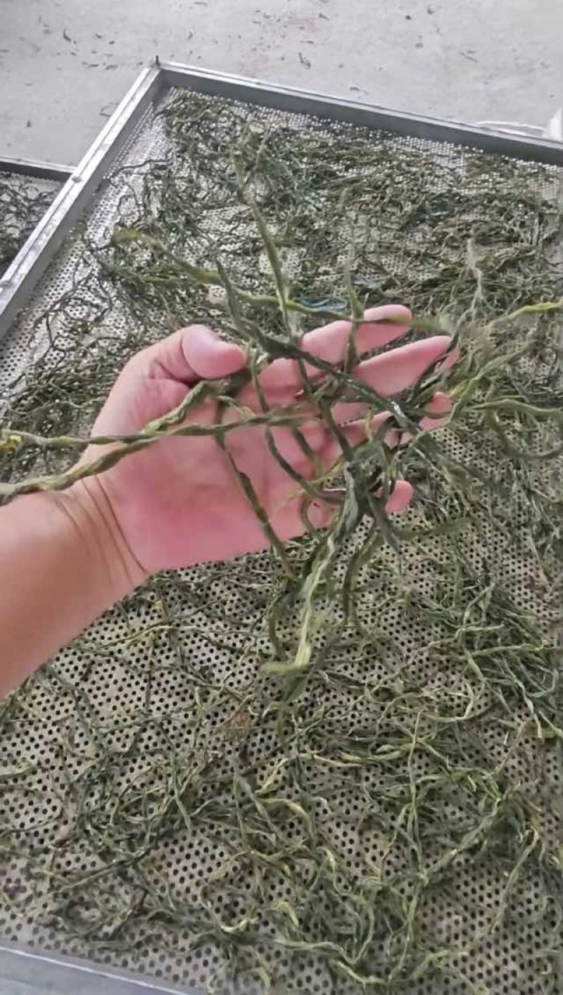 架豆王豆角干