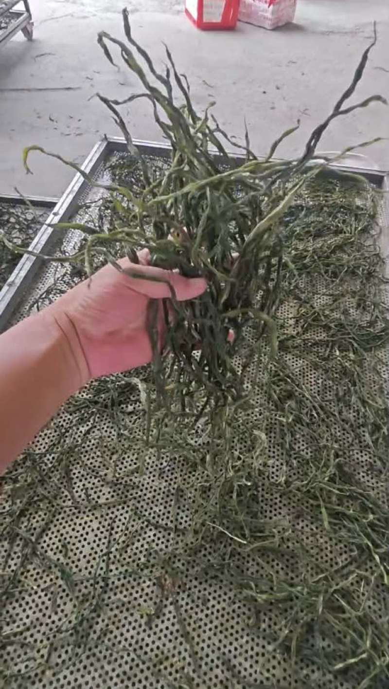 架豆王豆角干