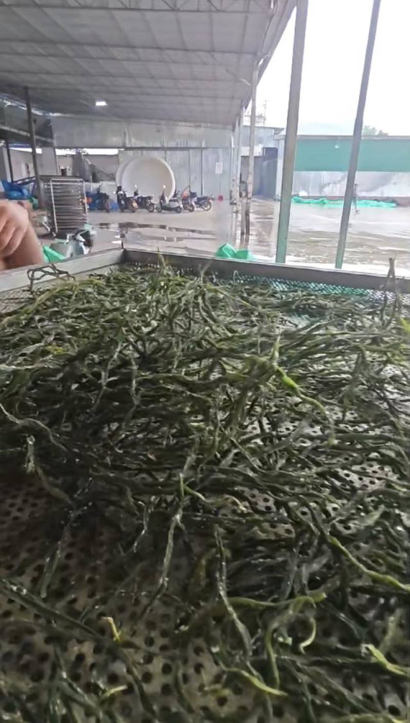 架豆王豆角干