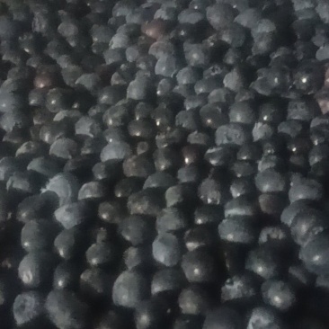 冷冻蓝莓颗粒