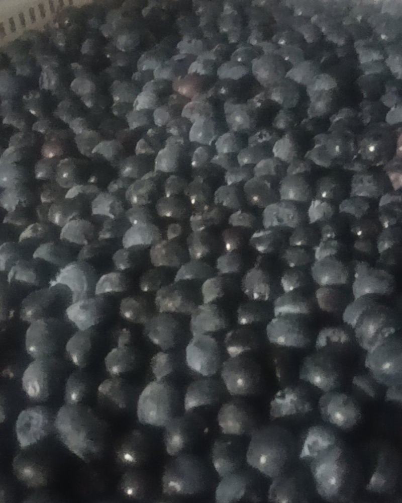 冷冻蓝莓颗粒