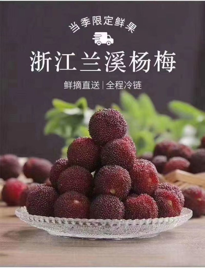 浙江兰溪马涧杨梅
