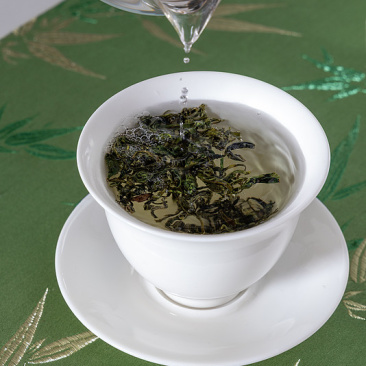 日照绿茶