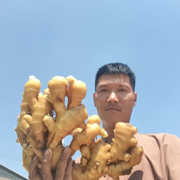 大姜