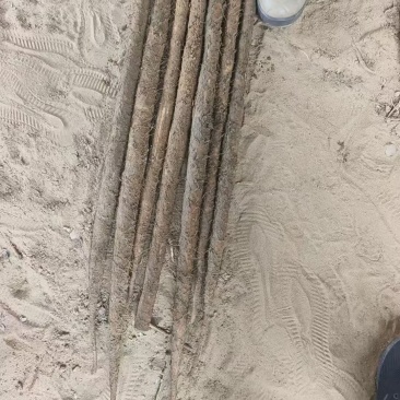 铁棍山药