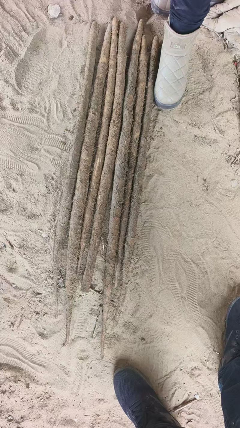 铁棍山药