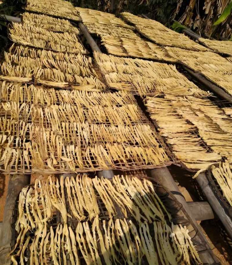 高山野生木竹笋干