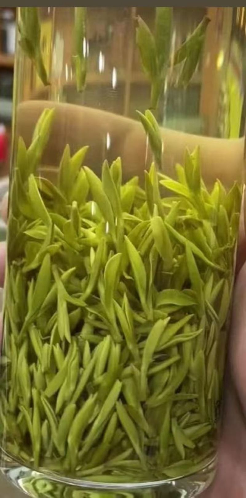 岳西翠兰茶叶
