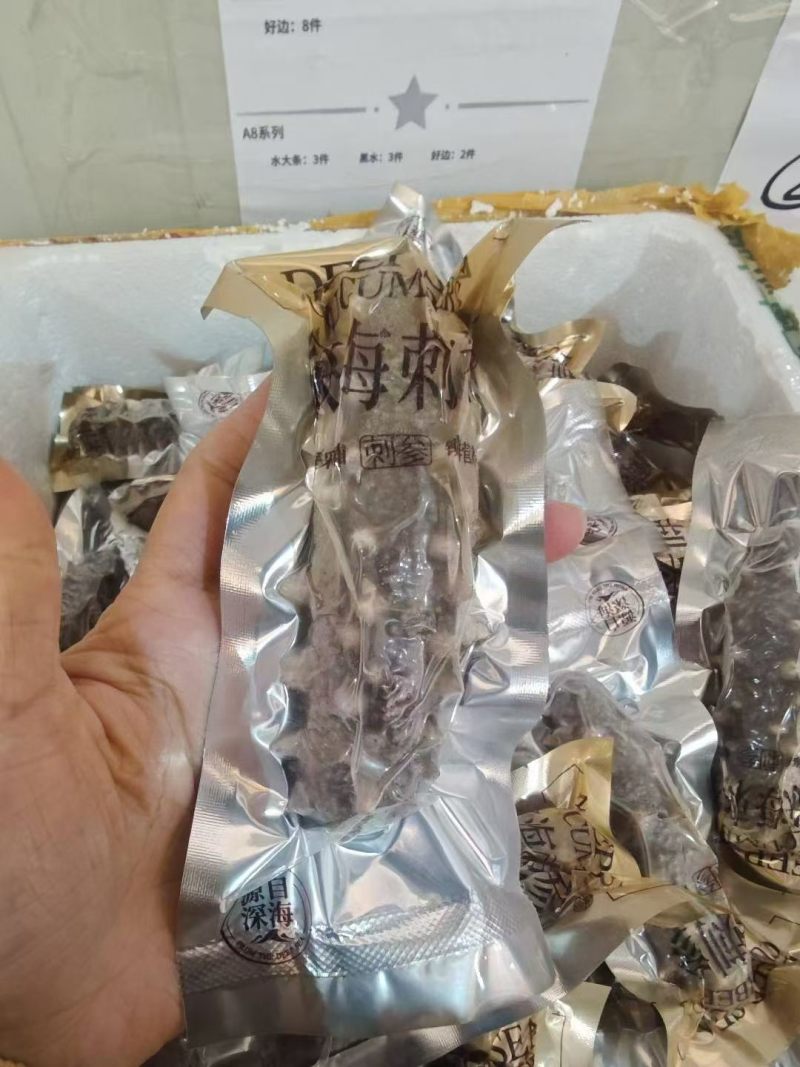 海参