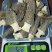 6没羊肚菌精品干货，最后20斤