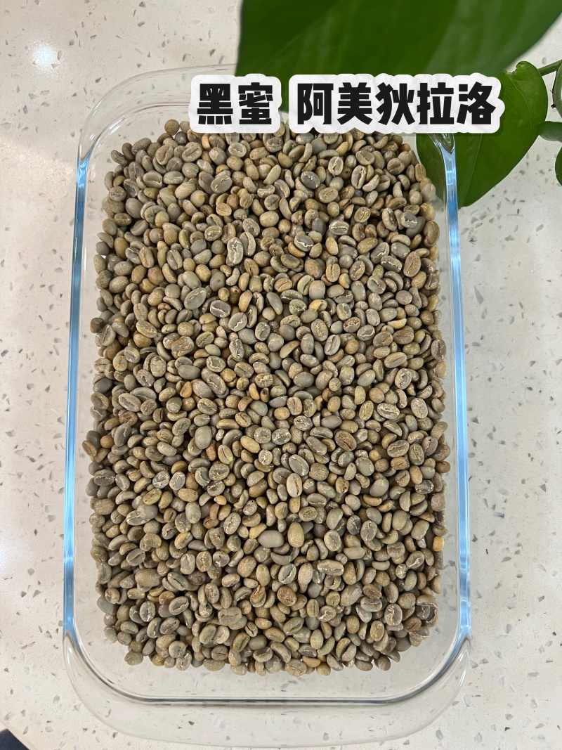 咖啡豆2026日晒**，黑蜜，卡法，果丁丁空运精品生豆