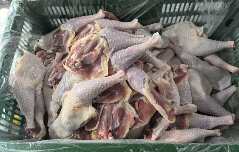 老鸡鸡腿老母鸡腿工厂直发质量保证