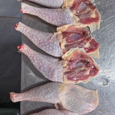 老鸡鸡腿老母鸡腿工厂直发质量保证