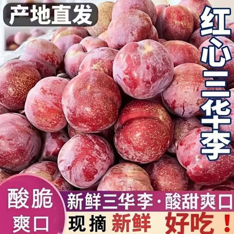 酸甜可口，脆爽多汁，现摘现发，支持一件代发