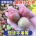 酸甜可口，脆爽多汁，现摘现发，支持一件代发