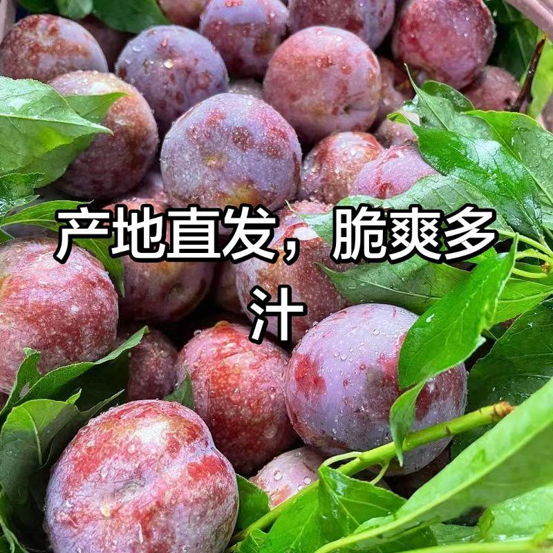 酸甜可口，脆爽多汁，现摘现发，支持一件代发