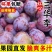 酸甜可口，脆爽多汁，现摘现发，支持一件代发