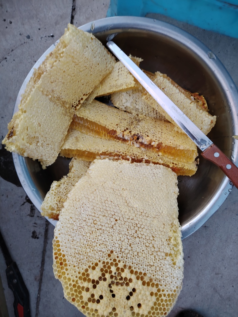 巢蜜，合装
