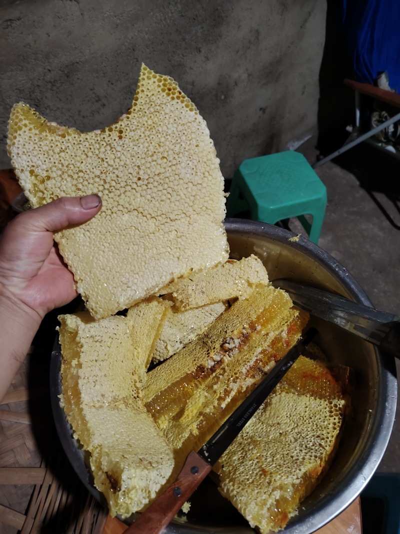 巢蜜，合装