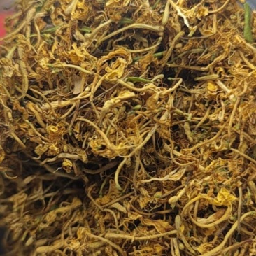 纯野生金银花