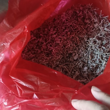 梅茶，