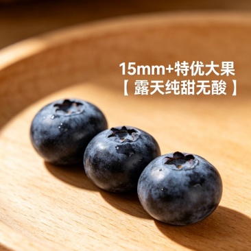 云南精品蓝莓