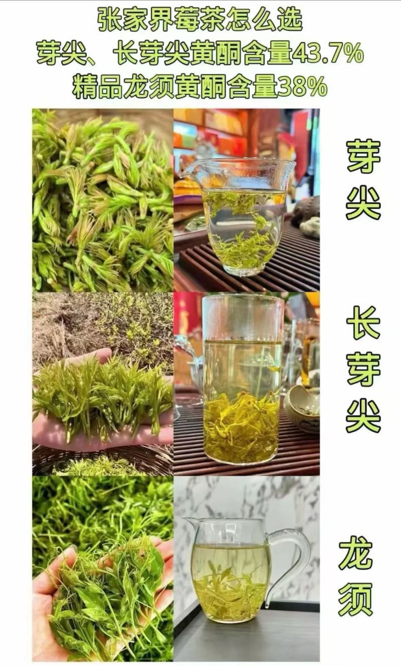 张家界莓茶