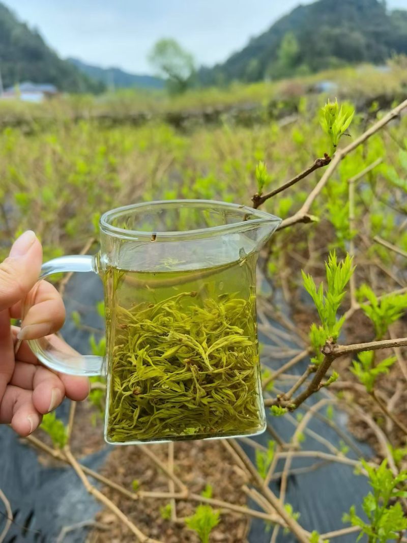 张家界莓茶