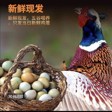 山东野山鸡蛋