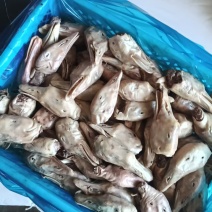 库里去舌鹅头9吨左右